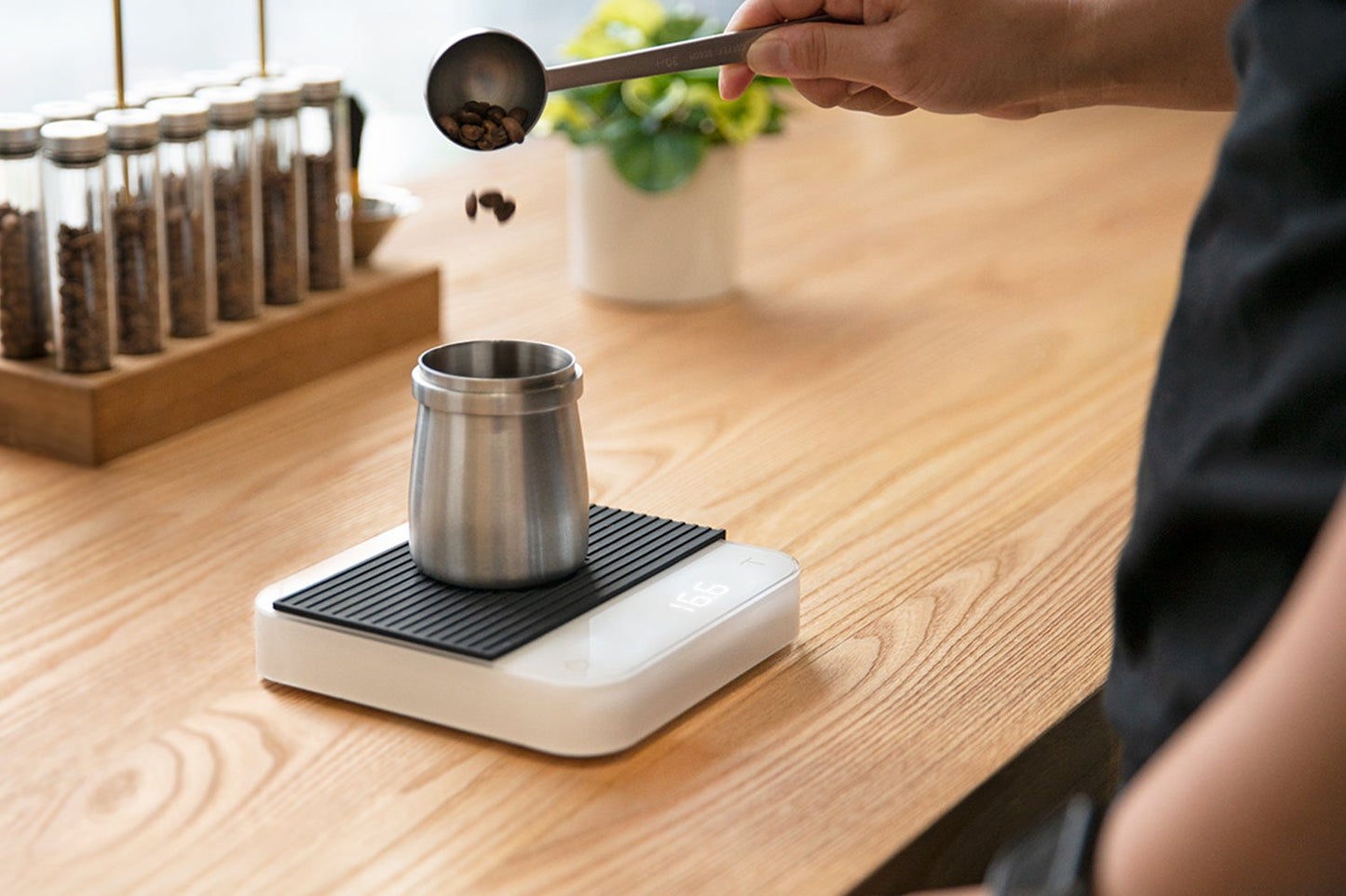 Acaia Pearl Scale